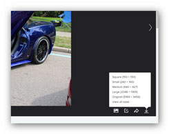 flickr